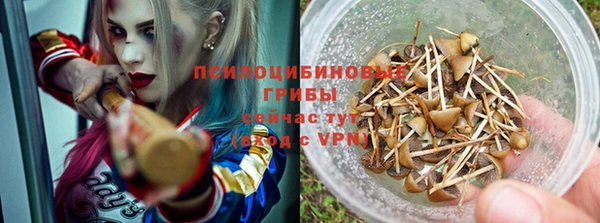 ALPHA PVP Мегион