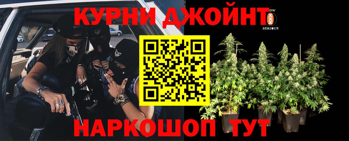 Бошки Шишки план  Бошки марихуана SATIVA & INDICA  Лесной  Вход с VPN  Каннабис гибрид 
